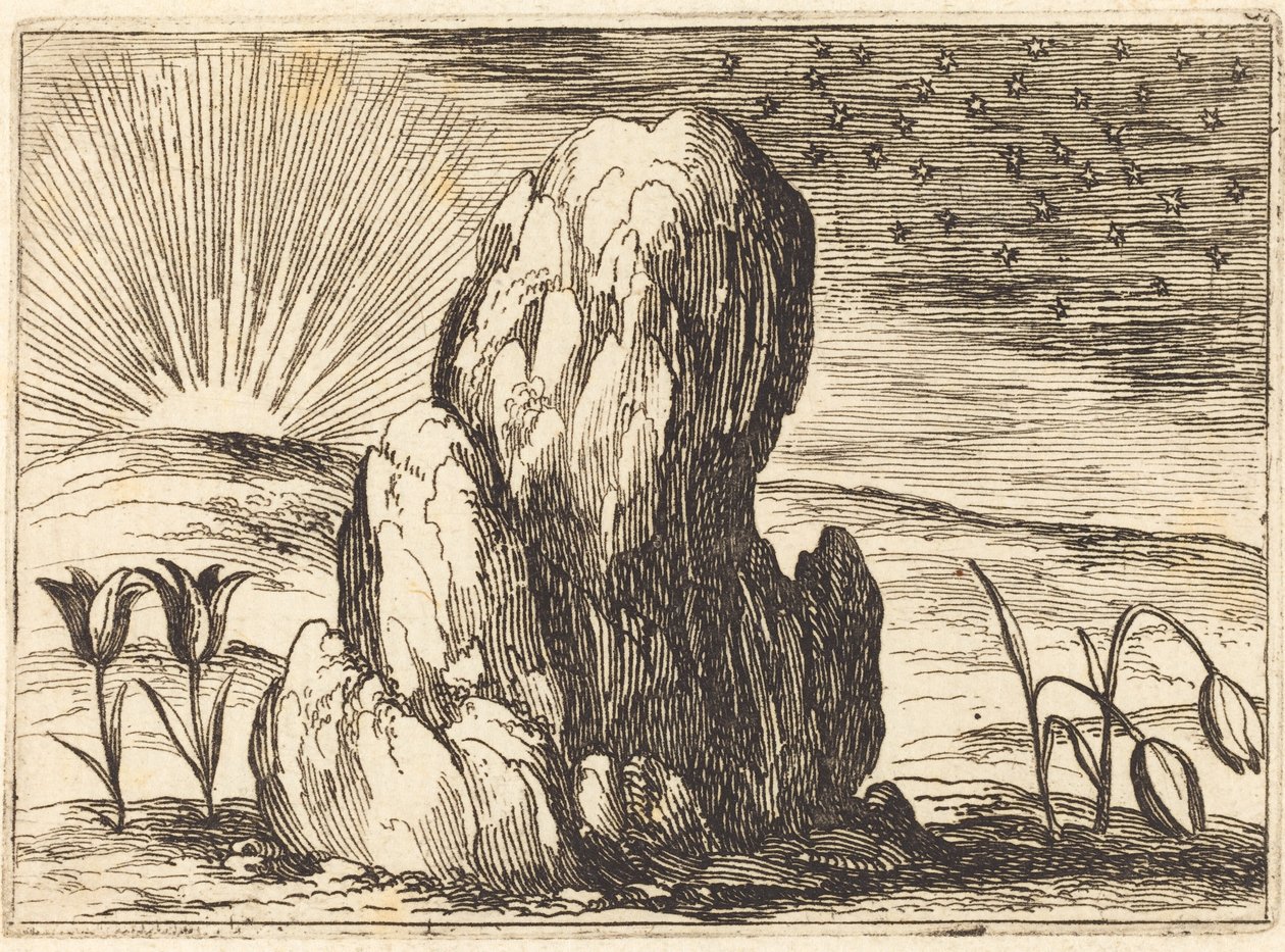 Tulipanerne og solen af Jacques Callot