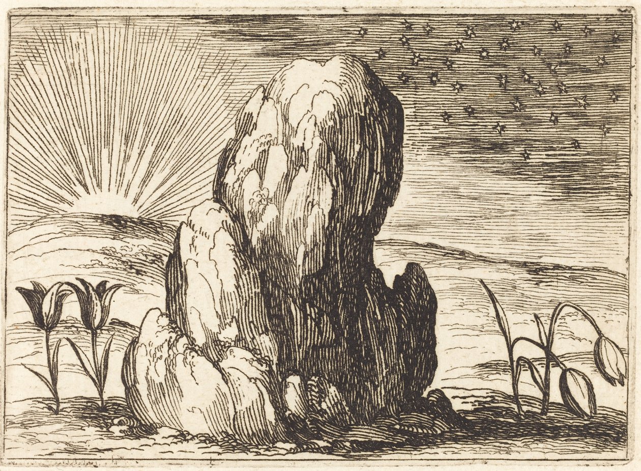 Tulipanerne og solen, 1628. af Jacques Callot