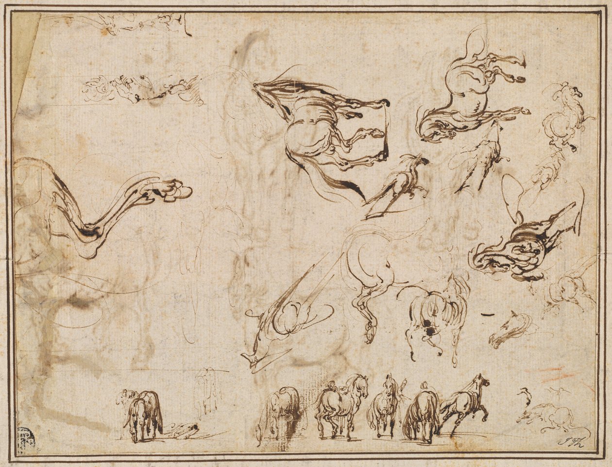 Studier af heste [verso] af Jacques Callot after Antonio Tempesta