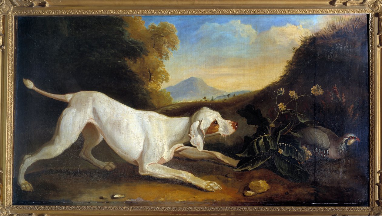 Dog Braque foran en fasan Maleri af Jacques Charles Oudry (1720-1778) Paris fra det 18. århundrede, dekorativ kunst af Jacques Charles Oudry