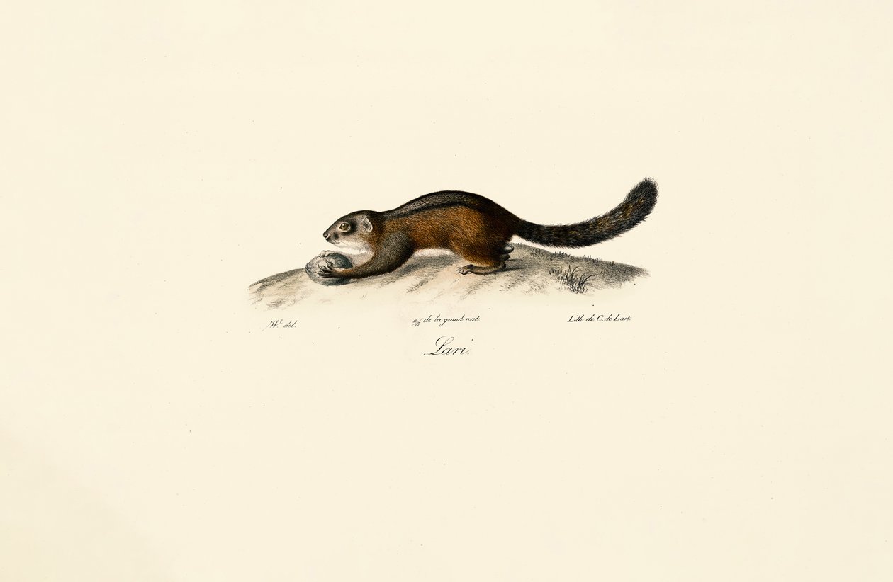  af Jacques Christophe Werner