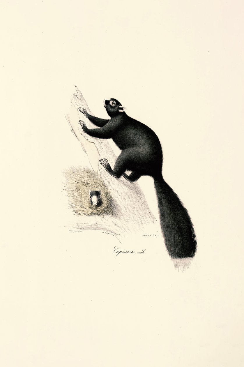  af Jacques Christophe Werner