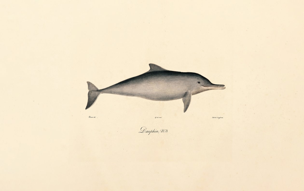  af Jacques Christophe Werner