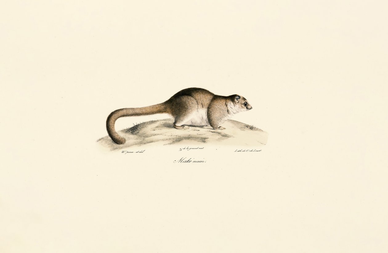  af Jacques Christophe Werner