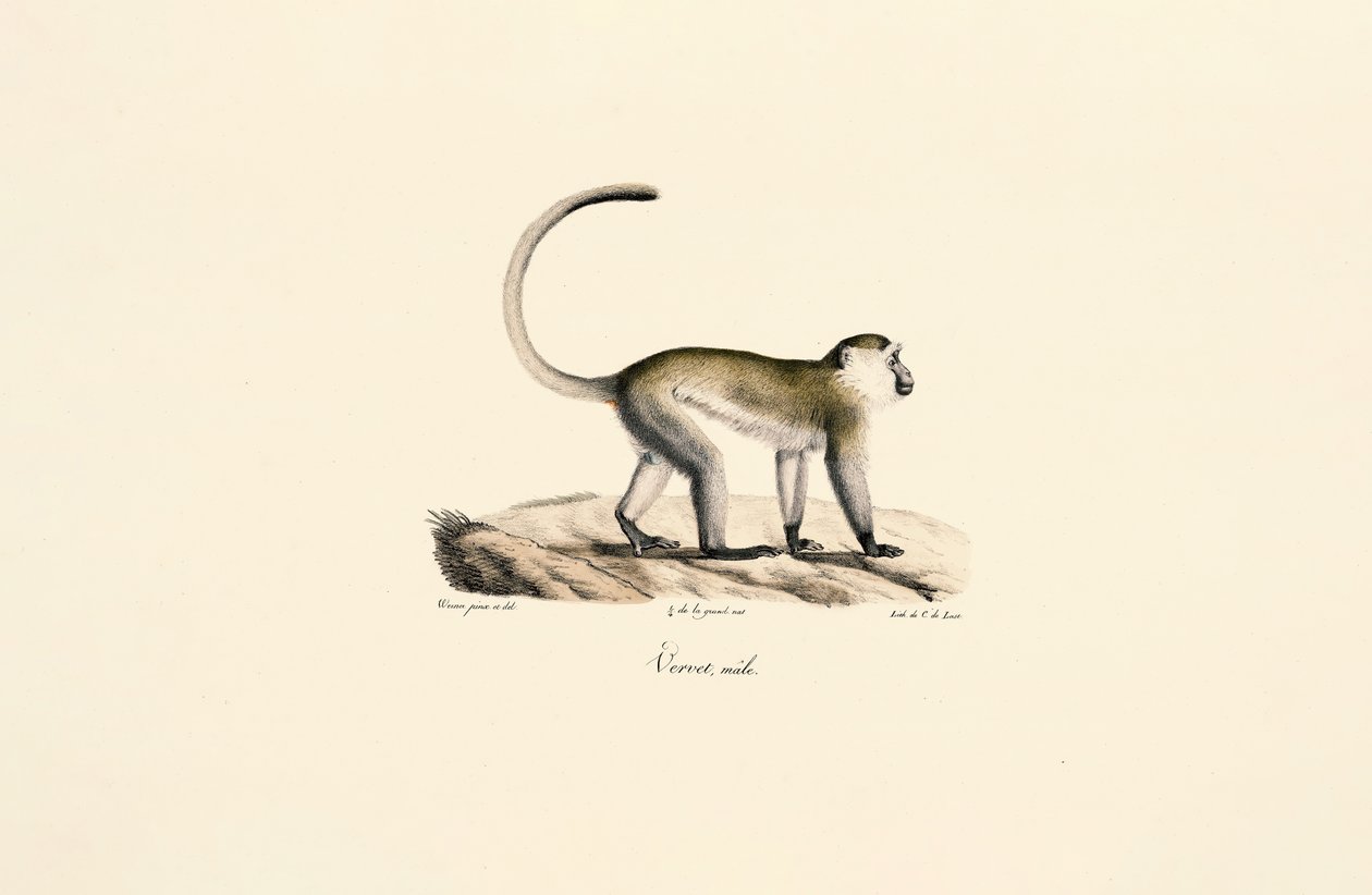  af Jacques Christophe Werner