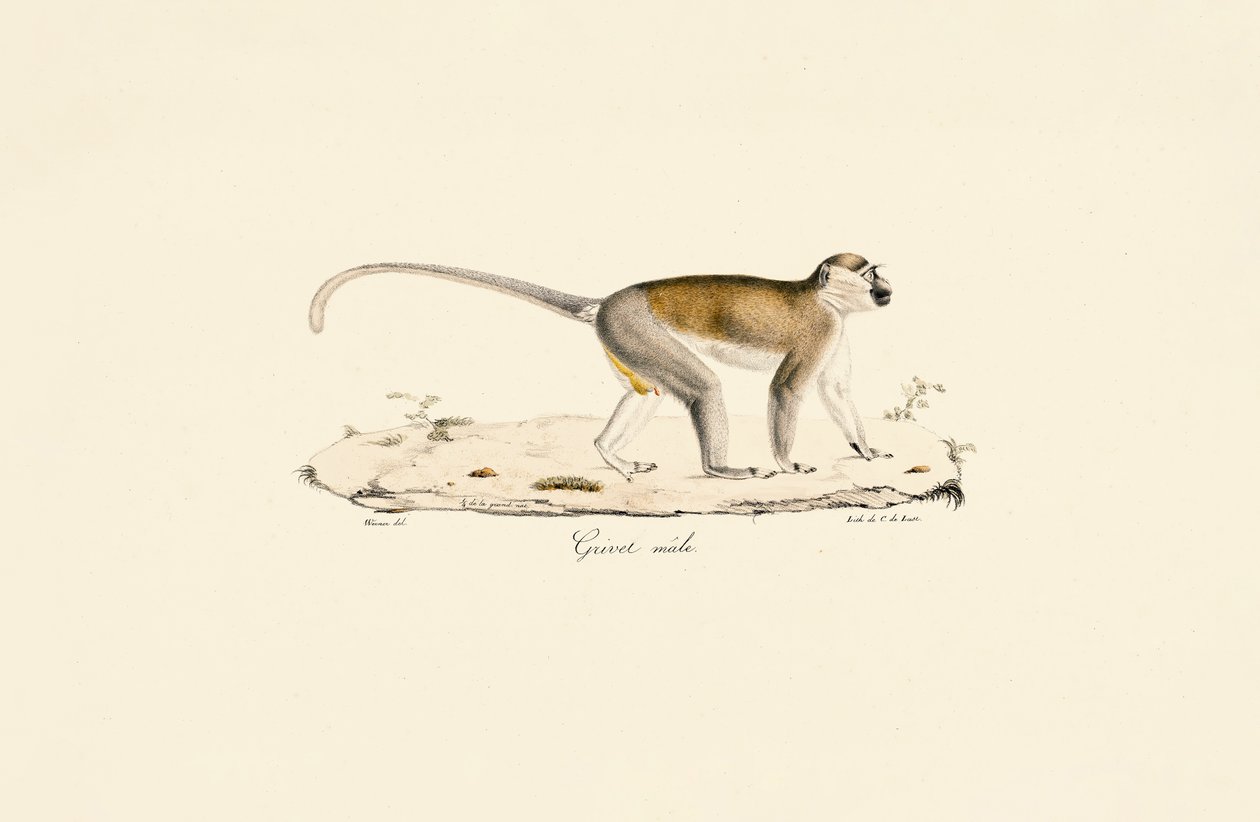  af Jacques Christophe Werner