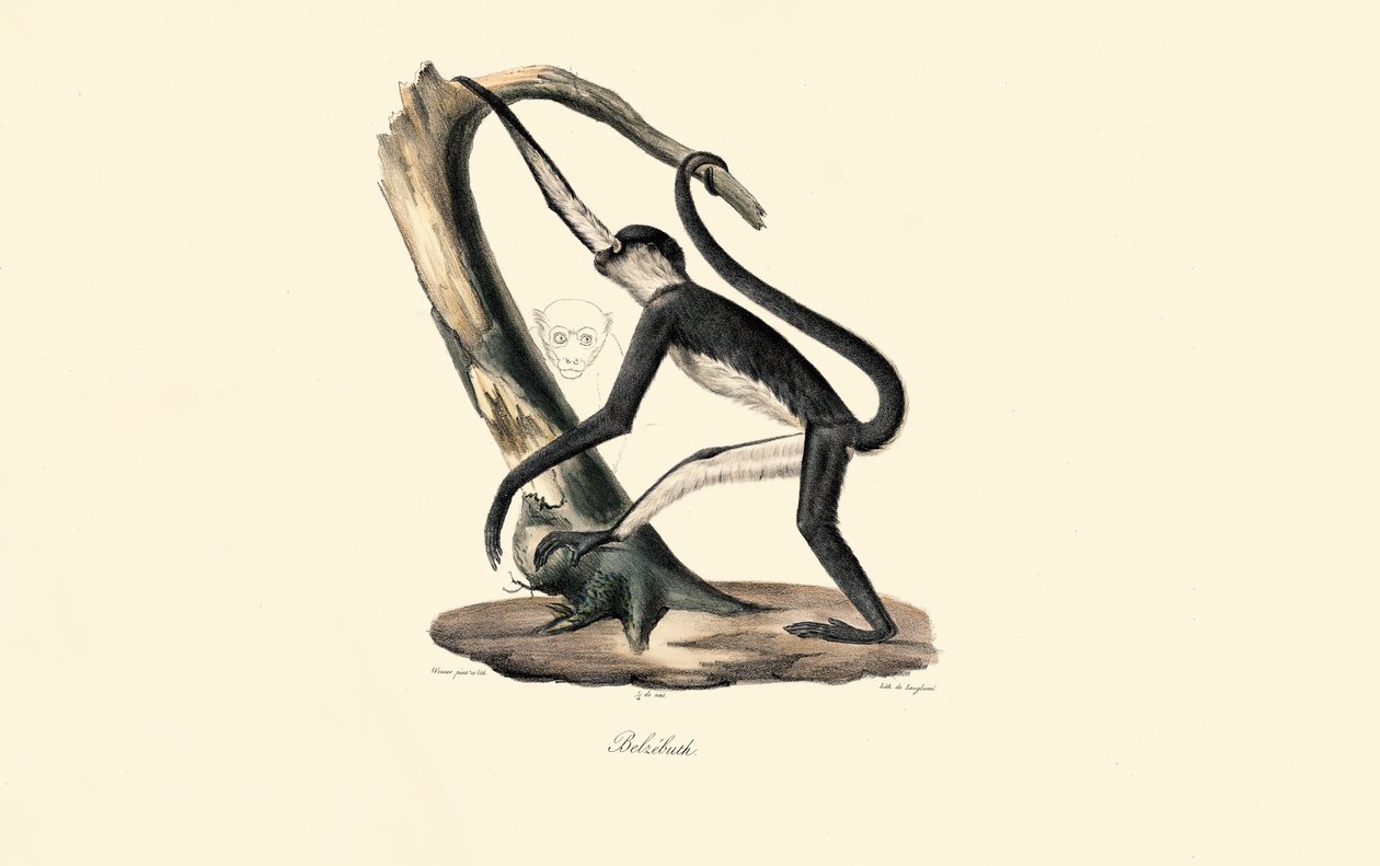  af Jacques Christophe Werner