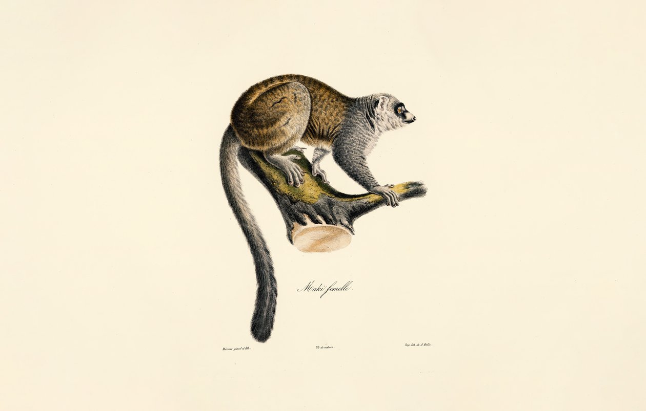  af Jacques Christophe Werner