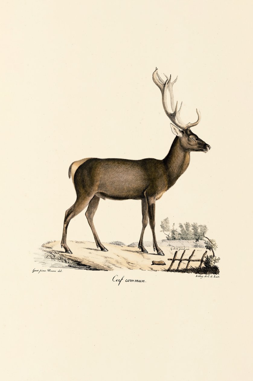  af Jacques Christophe Werner