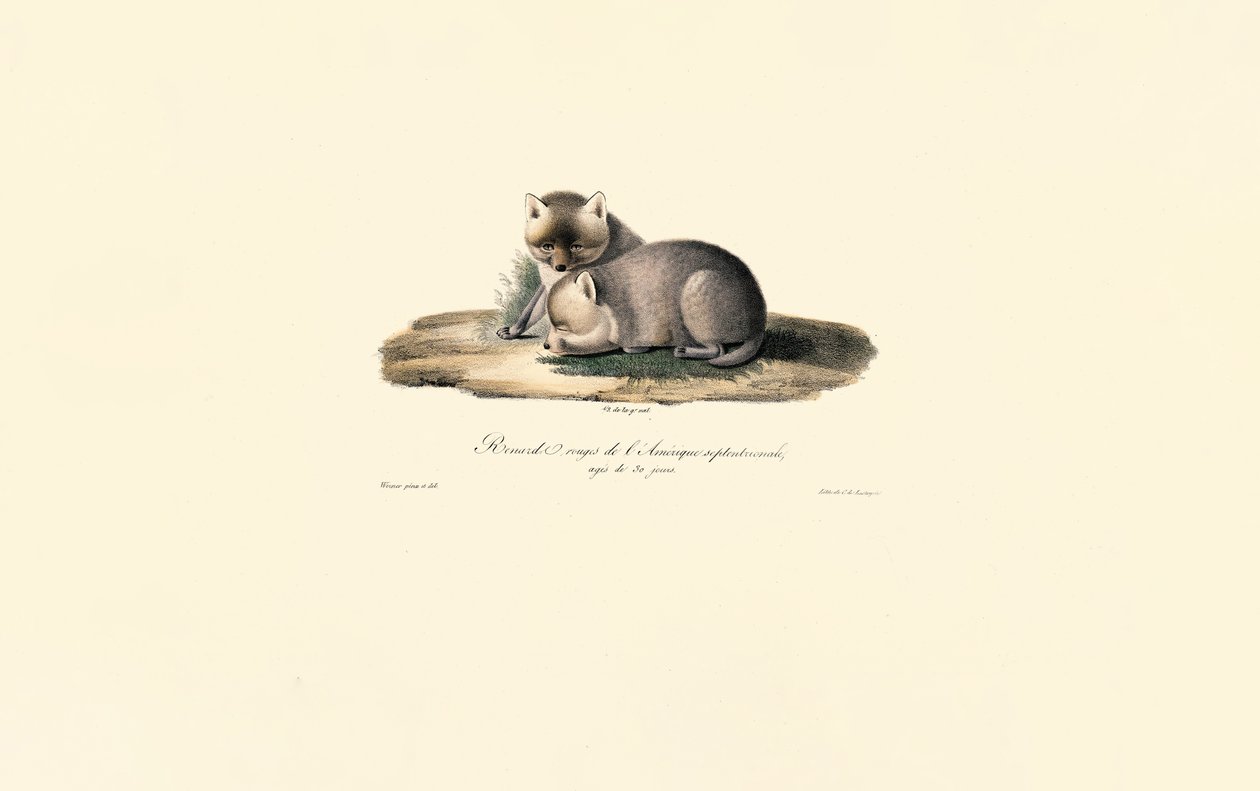  af Jacques Christophe Werner