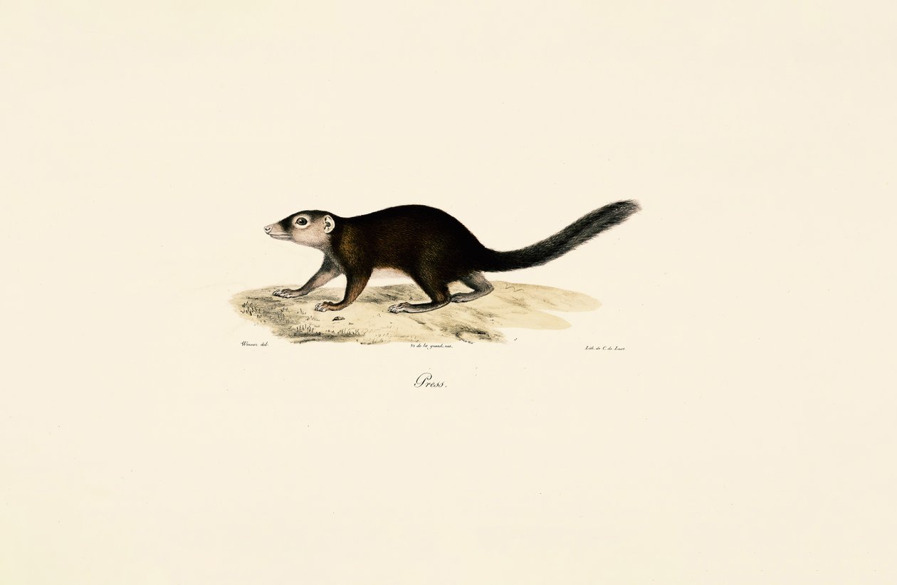  af Jacques Christophe Werner
