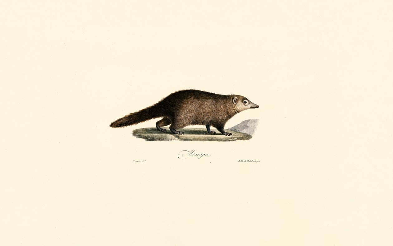  af Jacques Christophe Werner