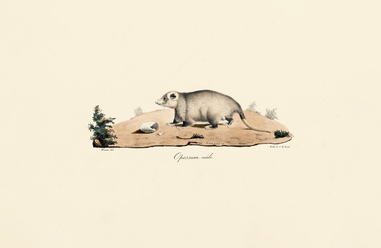  af Jacques Christophe Werner