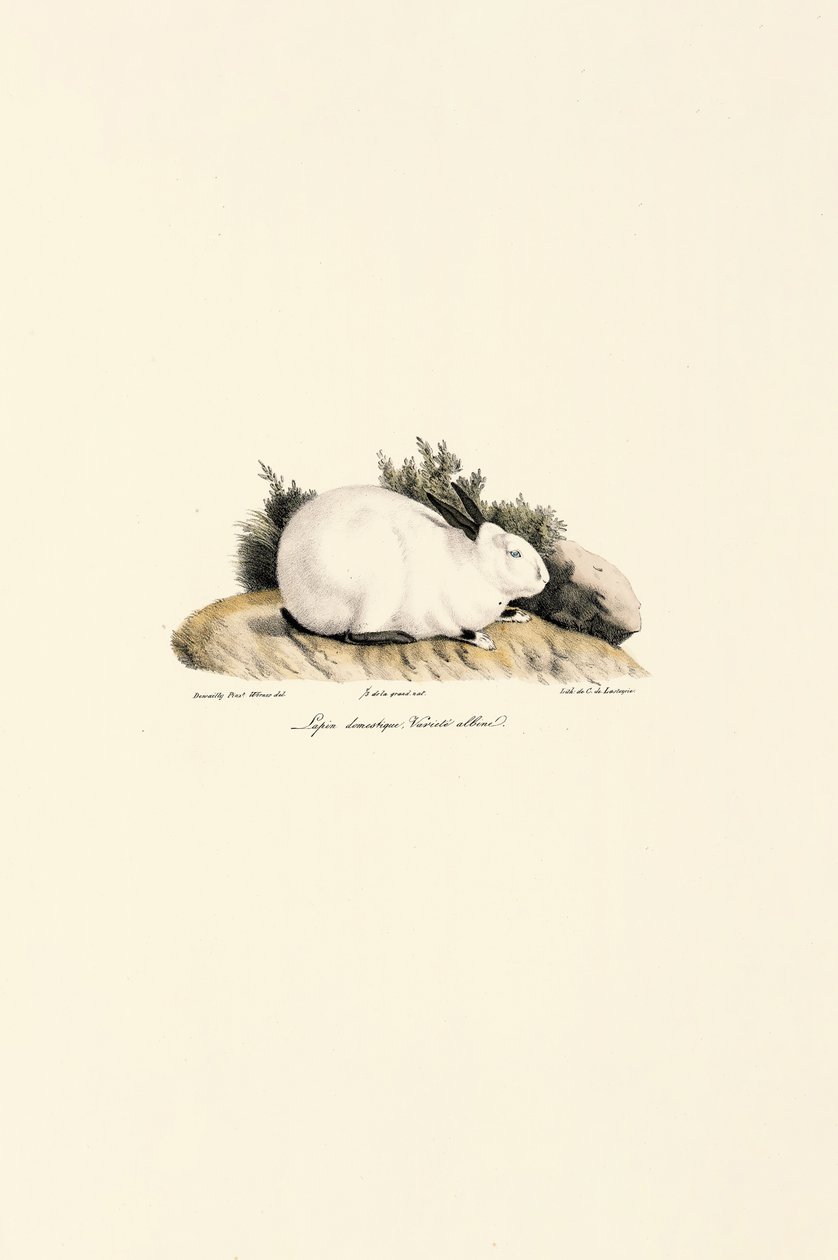  af Jacques Christophe Werner