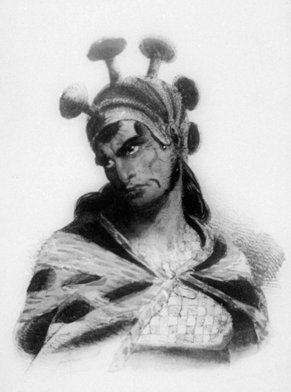 Hawaii-kriger iført hjelm med svampe-smykket emblem, 1819 af Jacques Etienne Victor Arago
