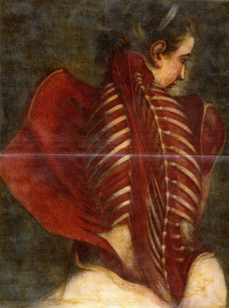 Den flåede engel, ca. 1745 af Jacques Fabien Gautier dAgoty