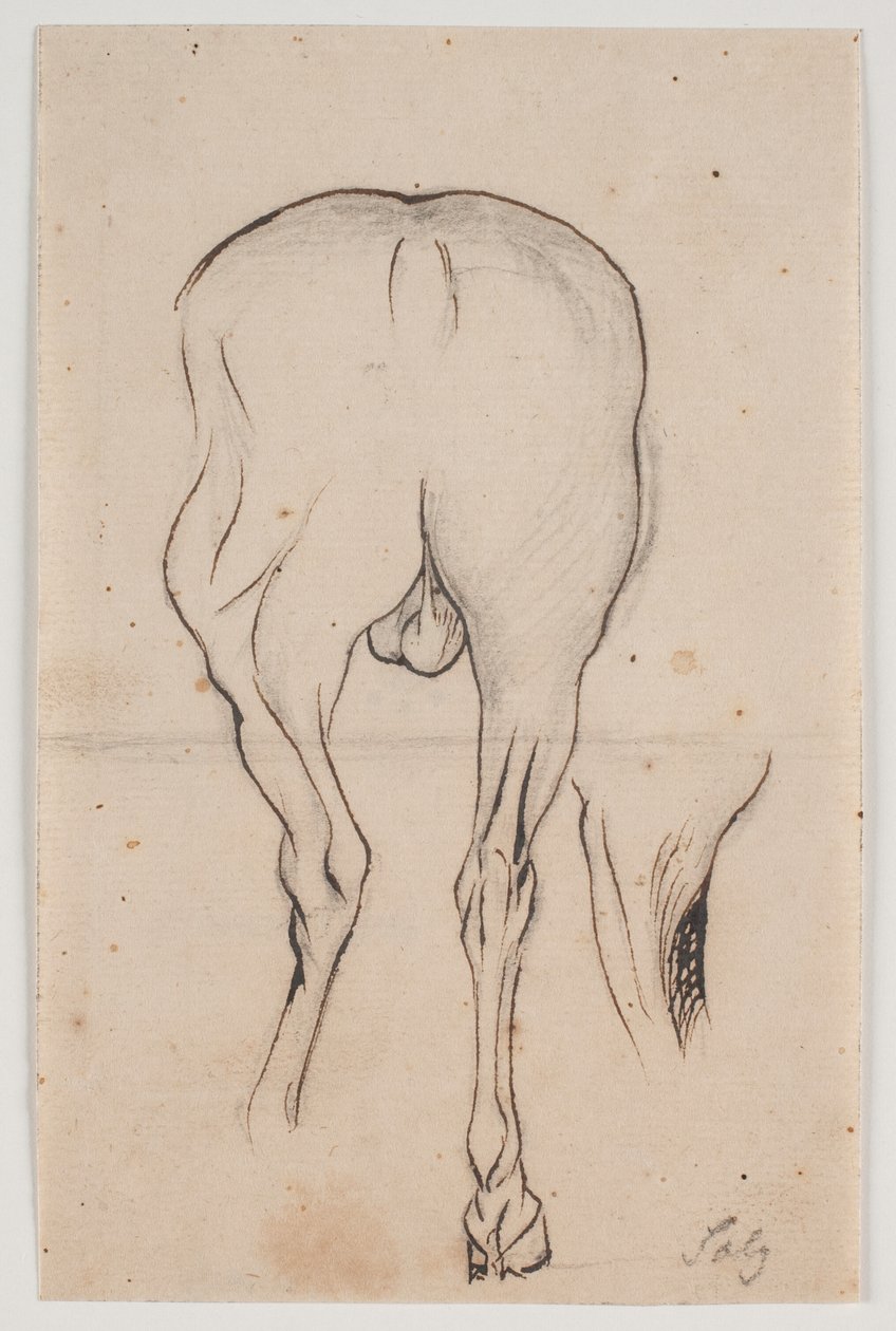 Hest set bagfra samt et hesteben af Jacques Francois Joseph Saly