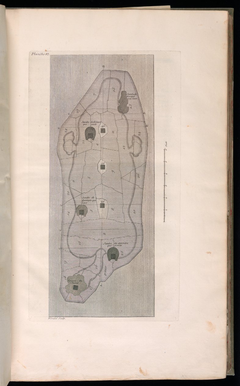 Indbundet tryk (Frankrig) af Jacques François Blondel