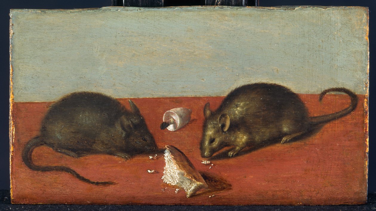 Mus, ca. 1600 (olie på egetræ) af Jacques II de Gheyn