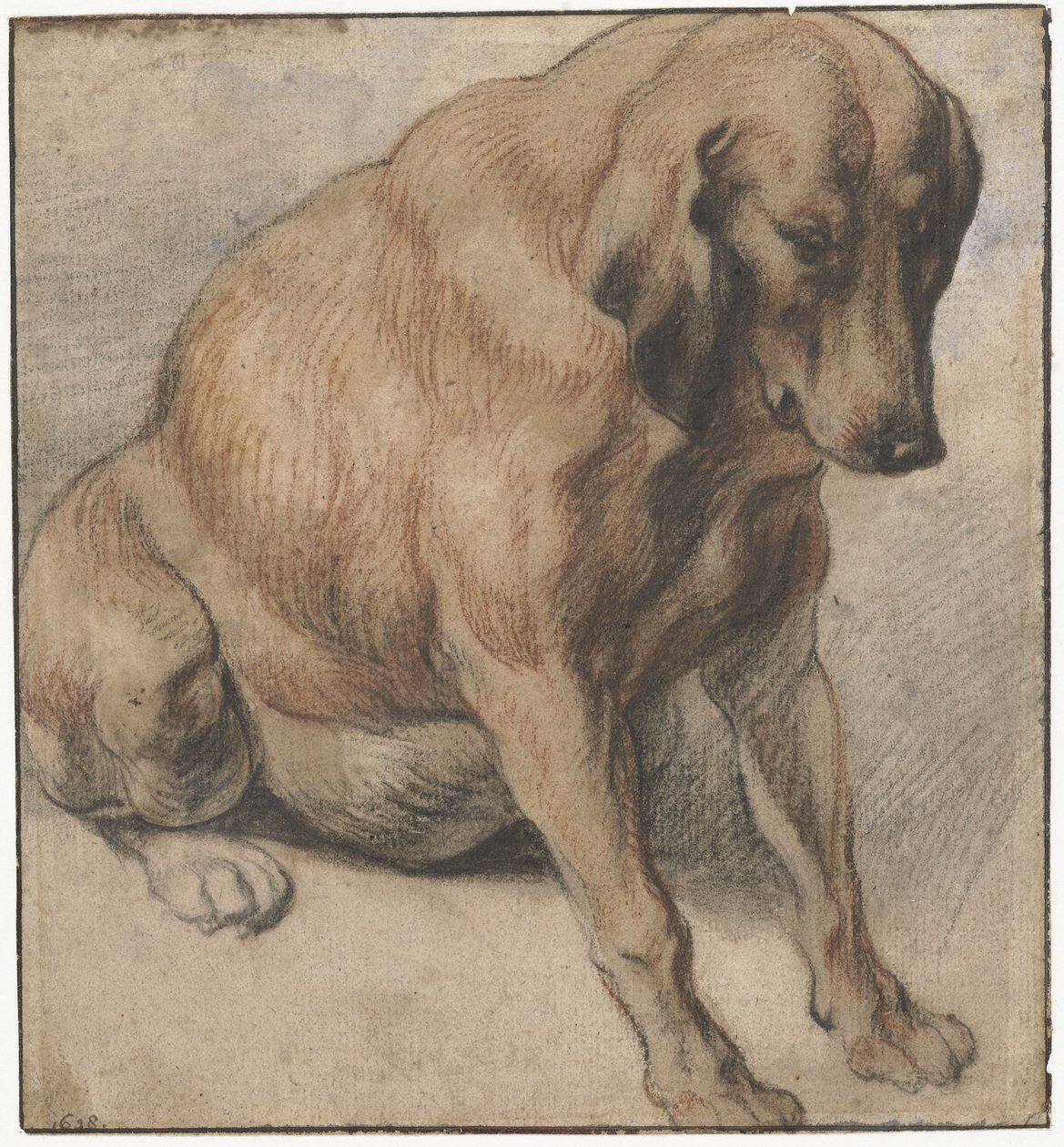 Siddende hund Siddende gravid hund af Jacques Jordaens