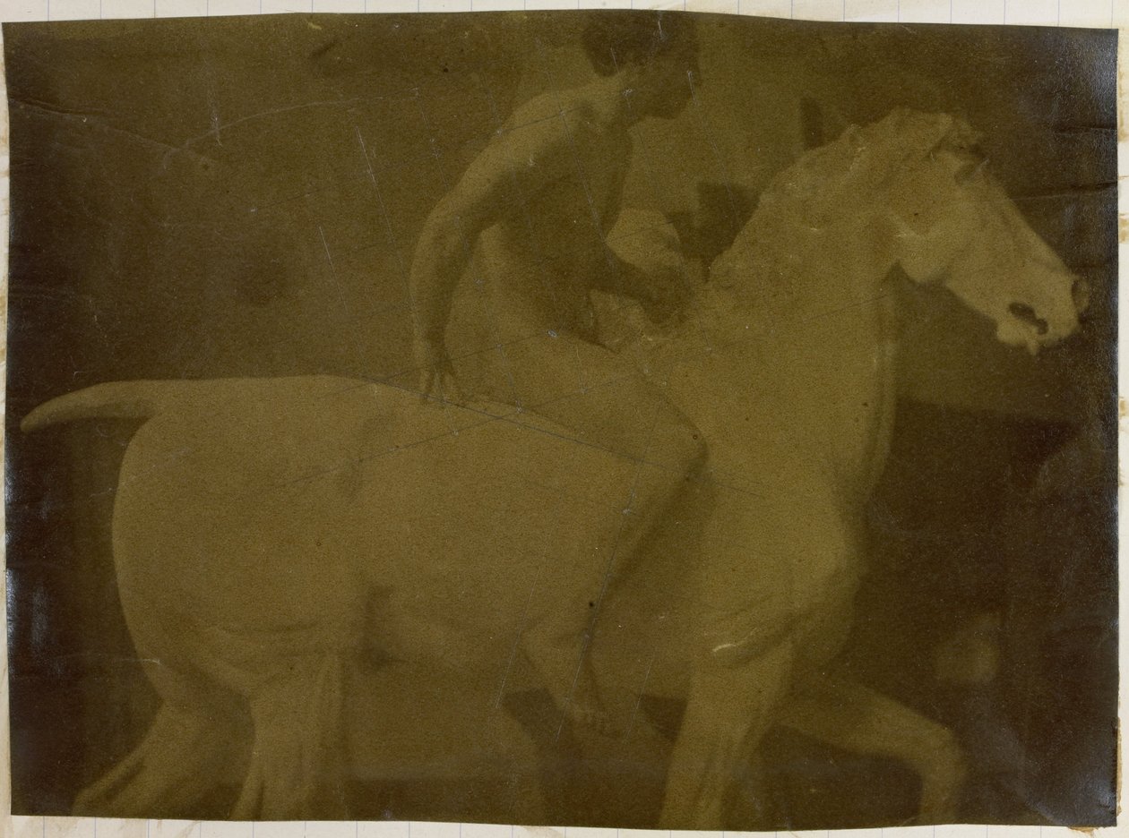 Studie af en mandlig nøgenmodel, siddende på en gipshest, i Jacques de Lalaings atelier, mulig forundersøgelse til Equestrian Portrait, Museum of Fine Arts Gent af Jacques Lalaing (attributed to)