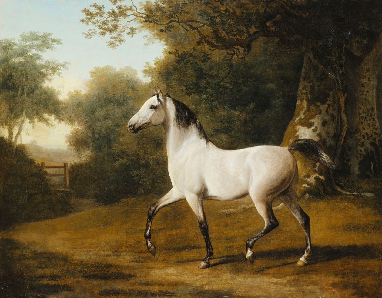 En grå arabisk hingst i et skovklædt landskab, af Jacques Laurent Agasse