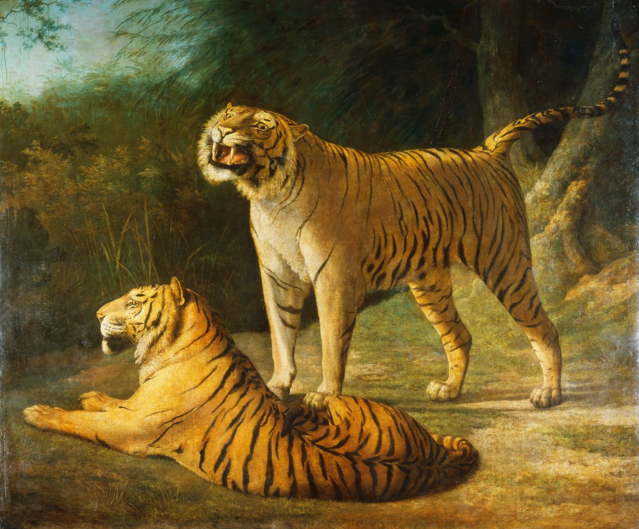 En tiger og tiger ved Exeter "Change Menagerie i 1808, 1808 af Jacques Laurent Agasse