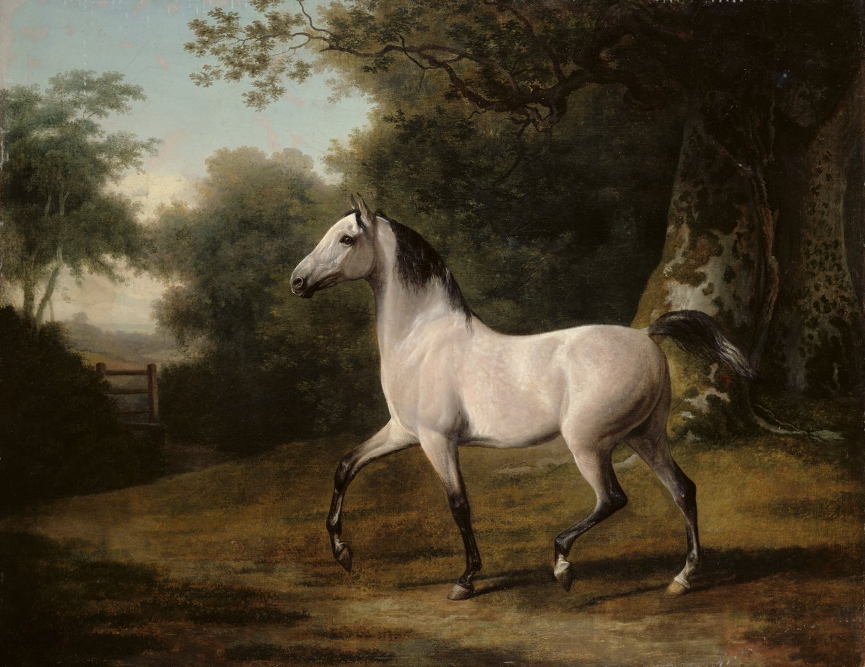 En grå arabisk hingst i et skovklædt landskab af Jacques Laurent Agasse