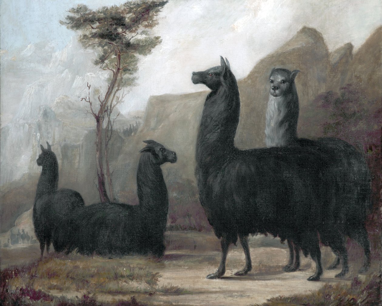 Alpacaer af Jacques Laurent Agasse