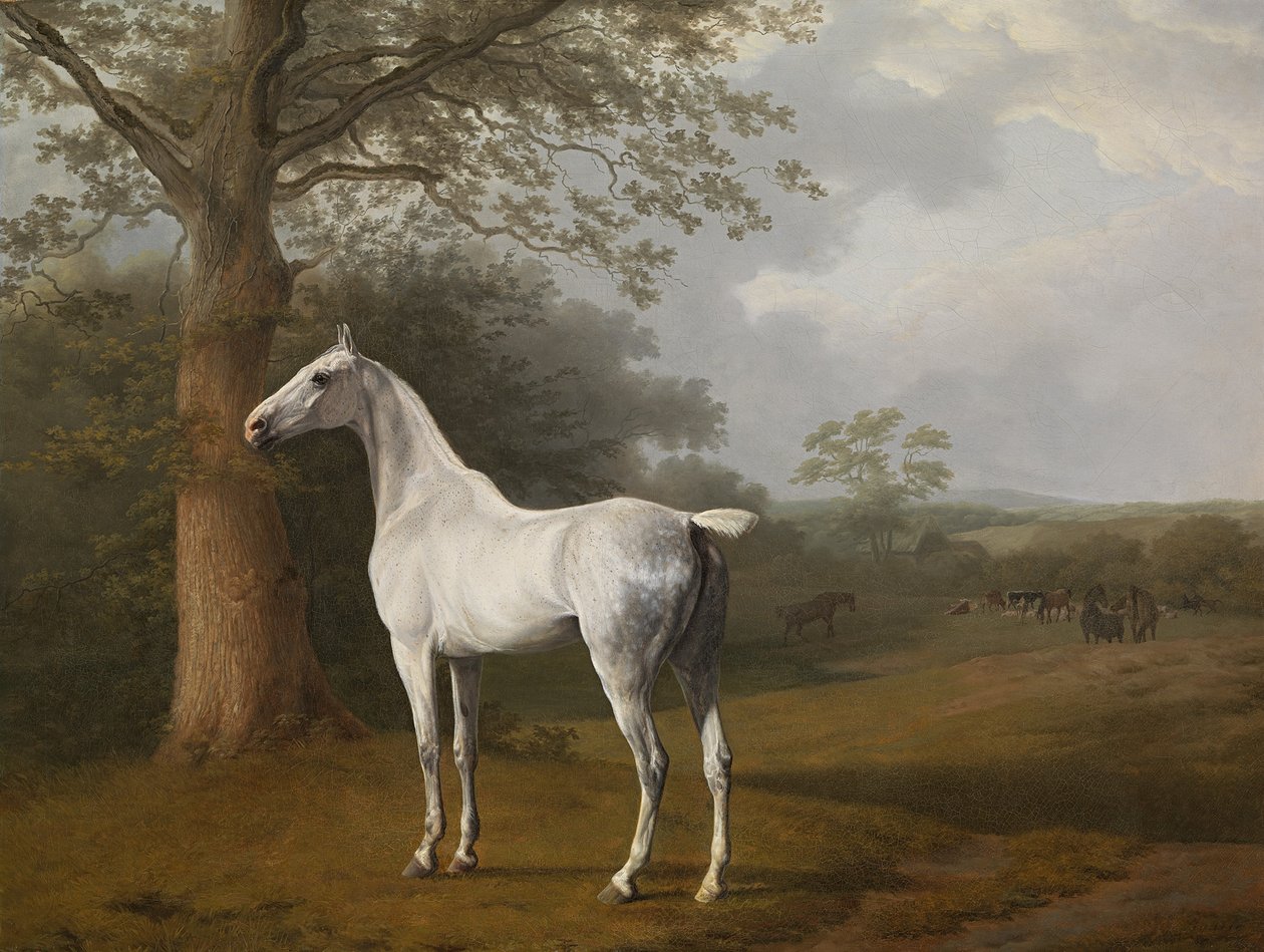 Grå hest på engen af Jacques Laurent Agasse