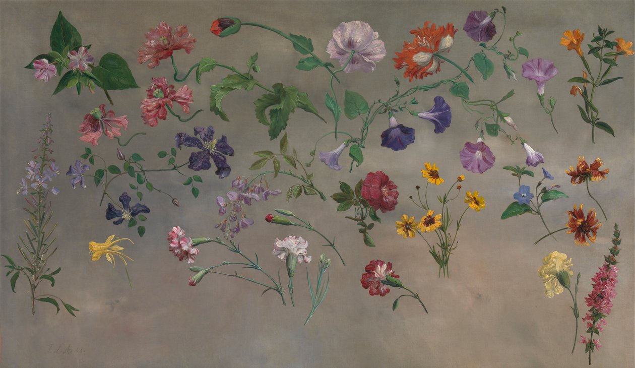 Studies of Flowers [1985, Cormack, YCBA Concise Catalogue] af Jacques Laurent Agasse