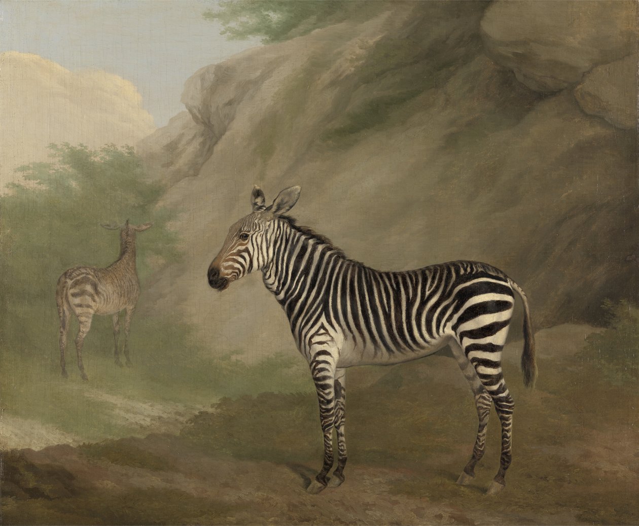 Zebra af Jacques Laurent Agasse