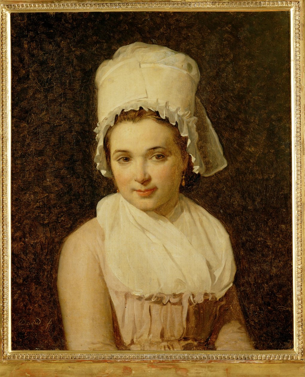 Catherine-Marie-Jeanne Tallard, hustru til Francois Lamy, borgmester i Sougere/Yonne ... af Jacques Louis David