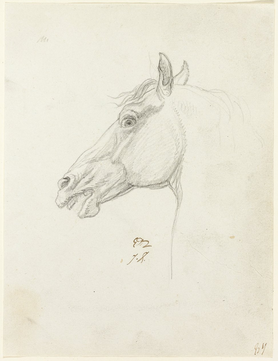 Hestens hoved af Jacques Louis David