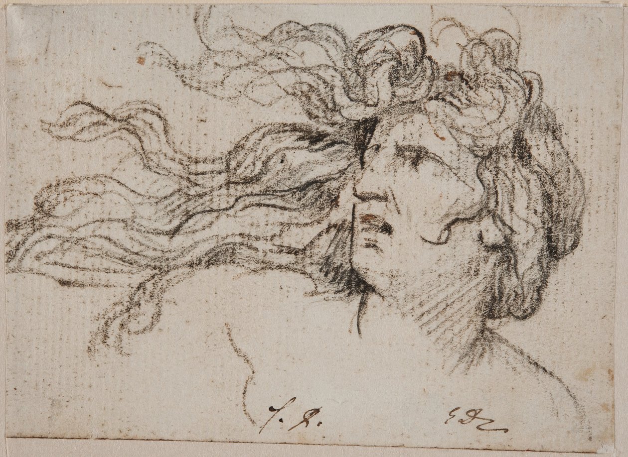Kvindehoved med flyvende hår af Jacques Louis David