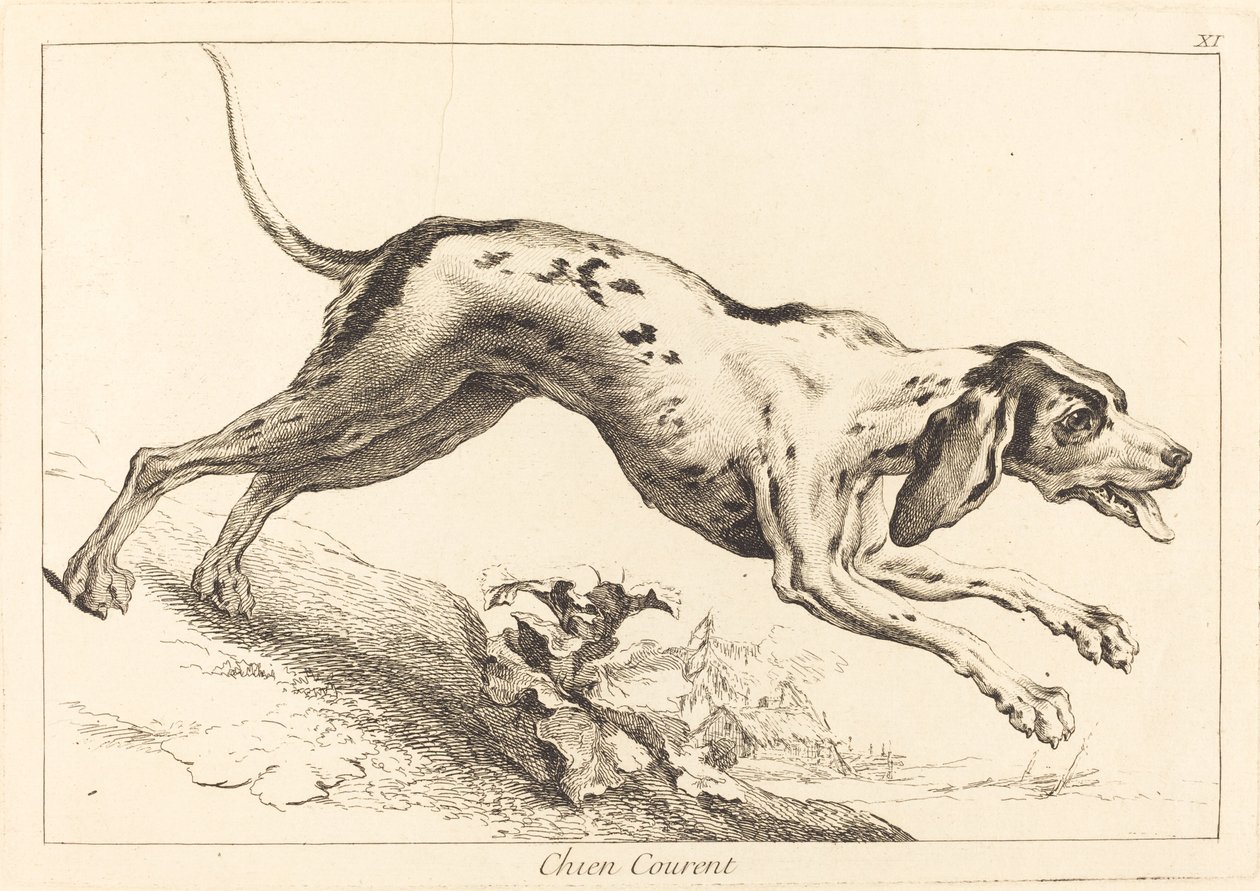 Chien courent (Running Hound) af Jacques Philippe Le Bas and Jean Eric Rehn after Jean Baptiste Oudry
