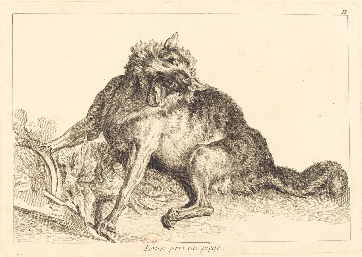 Ulv fanget i en fælde af Jacques Philippe Le Bas and Jean Eric Rehn after Jean Baptiste Oudry