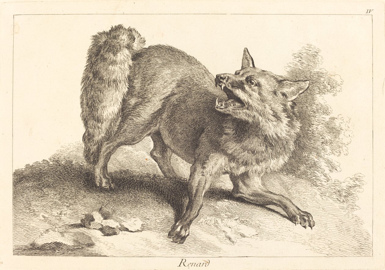 Renard (Fox) af Jacques Philippe Le Bas and Jean Eric Rehn after Jean Baptiste Oudry