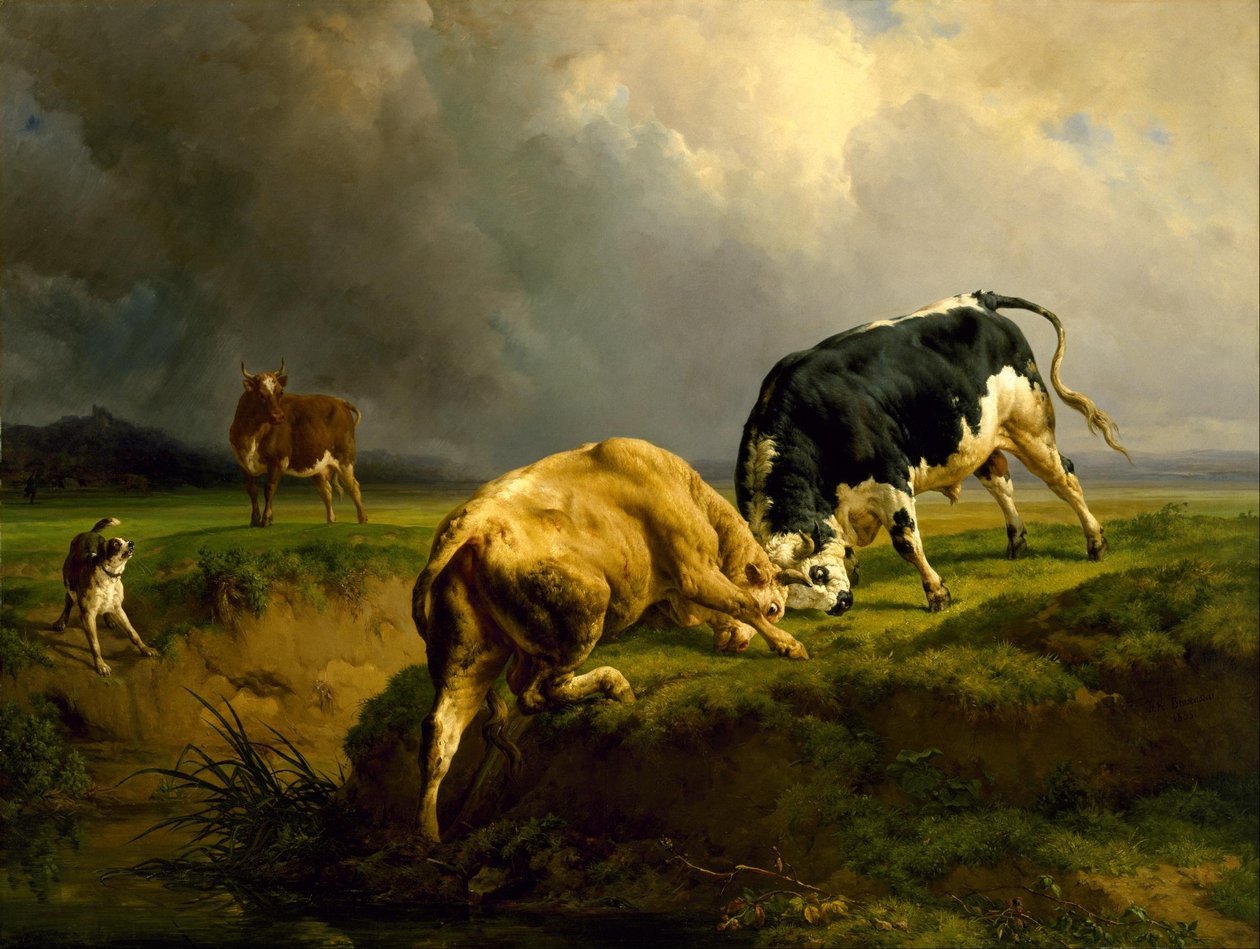 En tyrekamp af Jacques Raymond Brascassat