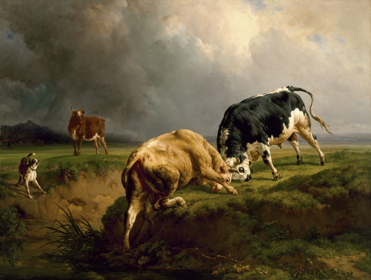 En tyrekamp, 1855 af Jacques Raymond Brascassat