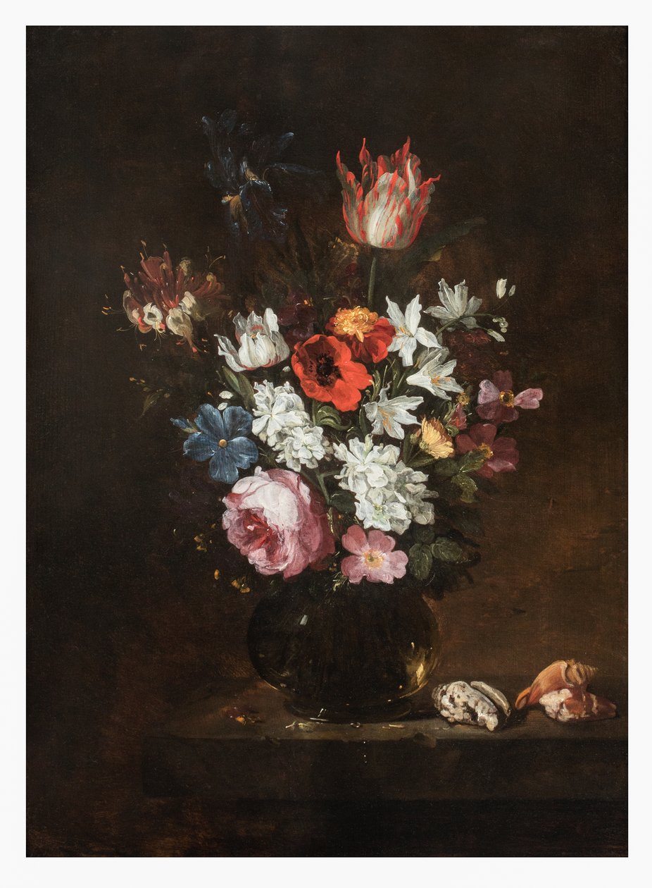 En rose, tulipan, iris, valmuer, kaprifolier og andre blomster i en glasvase med muslingeskaller på en afsats af Jacques de Claeuw