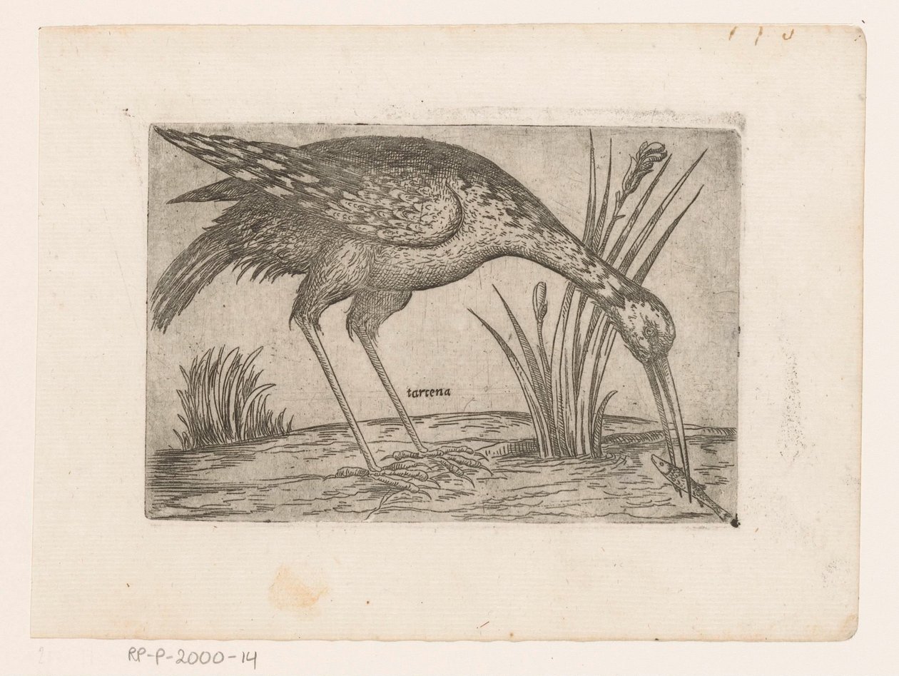 Vogel Tartena (titel på objekt) Vogels (serietitel) af Jacques de Fornazeris (possibly)