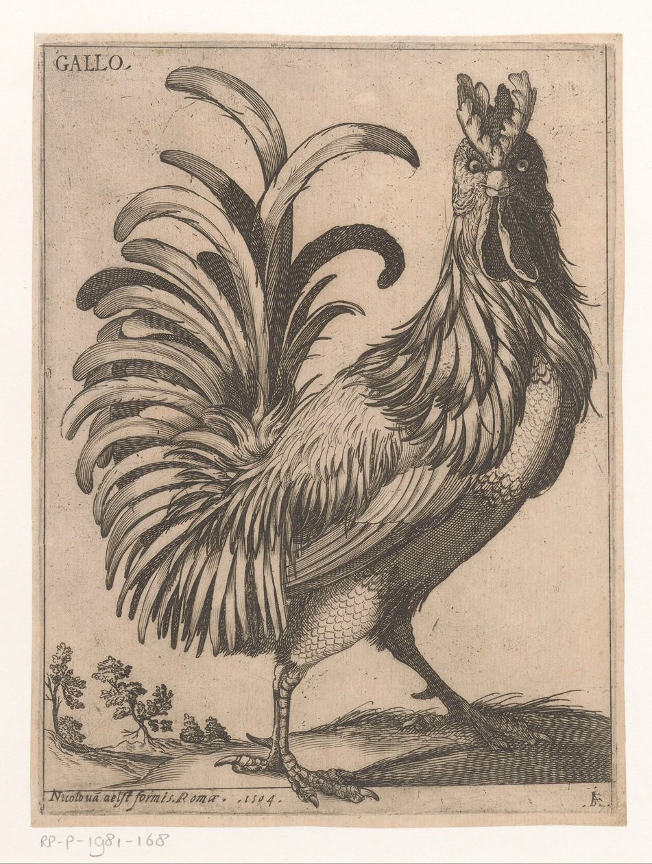 hane Gallo (titel på objekt) Ni fugle (serietitel) af Jacques de Fornazeris