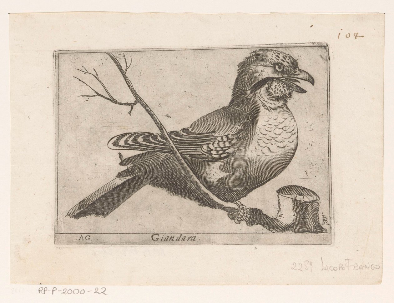 Jay (Garrulus glandarius) Giandara (titel på objekt) Fugle (serietitel) af Jacques de Fornazeris