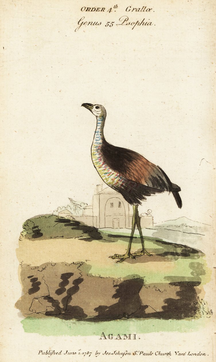 Næste Heron, næste næste af Jacques de Seve