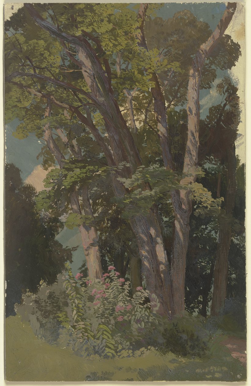 Parkstudie, lysning af Jakob Becker