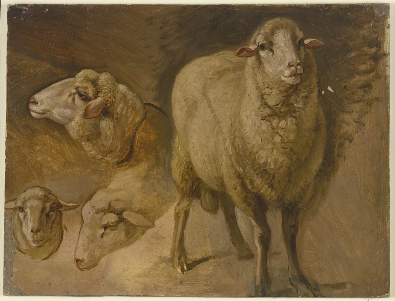 Får af Jakob Becker