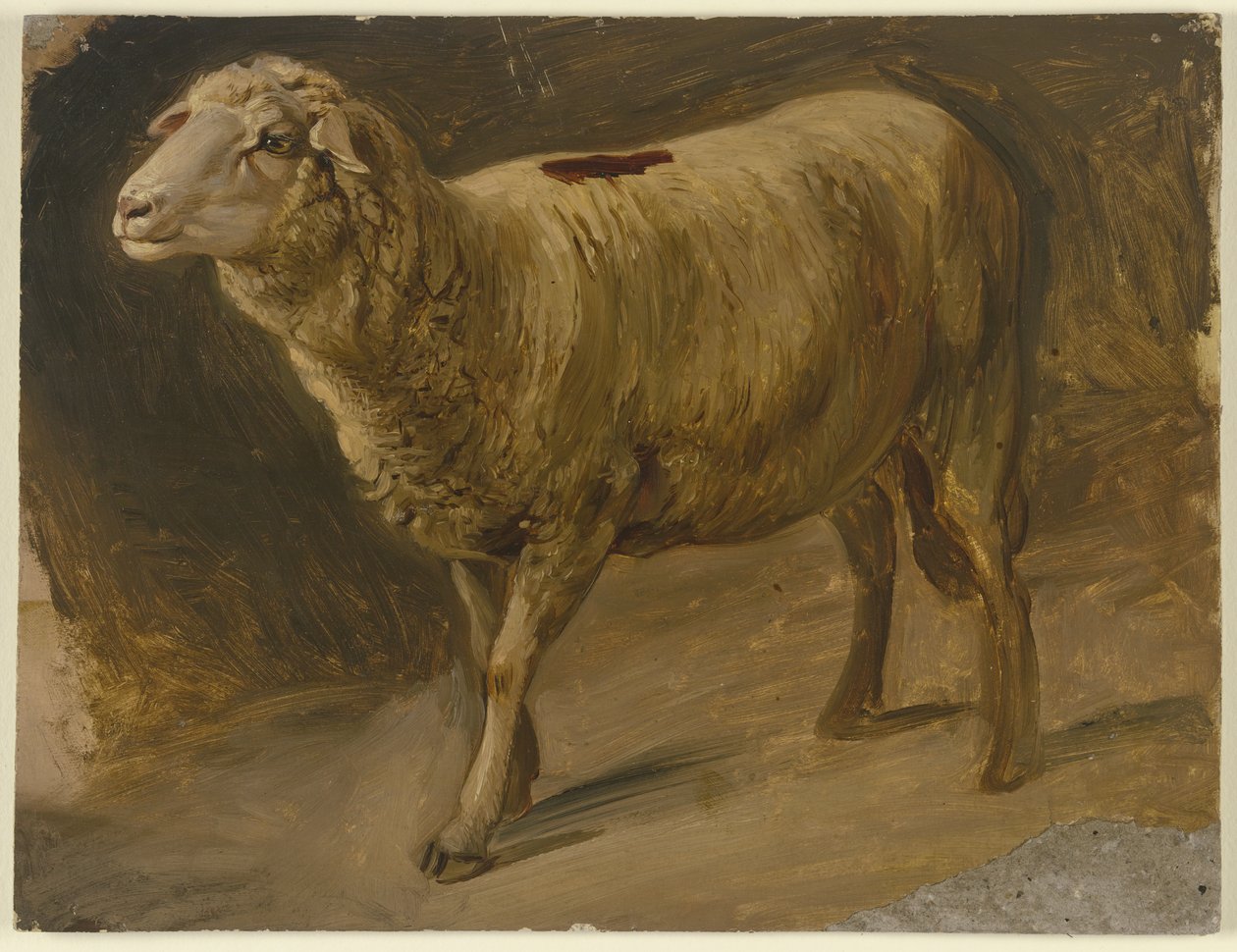 Får af Jakob Becker