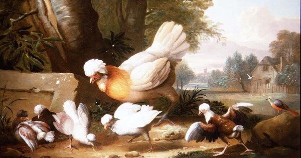Fjerkræ og duer i et landskab af Jakob Bogdani or Bogdany