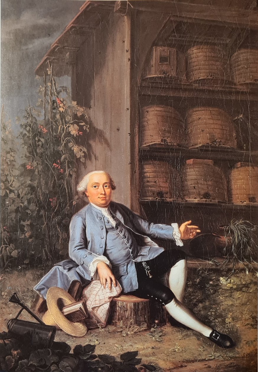 Tysk: Portræt af Vincenz Frisching (1727-1790), medlem af rigsrådet, godsejer i Uttigen. af Jakob Emanuel Handmann